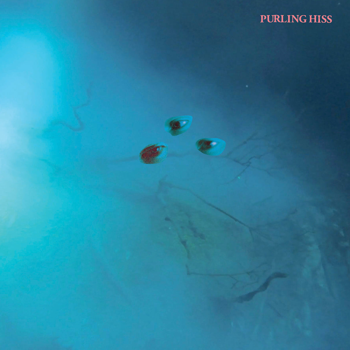 High Bias (CD)