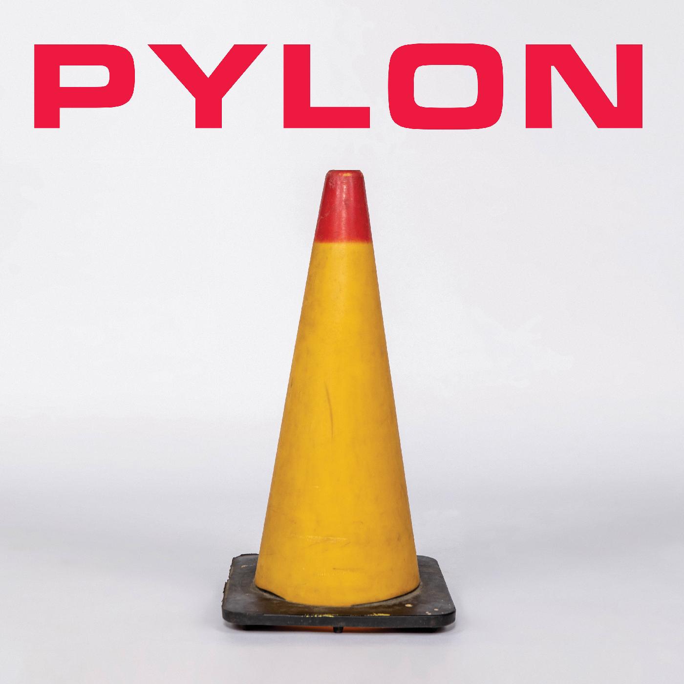 Pylon Box (Vinyl)