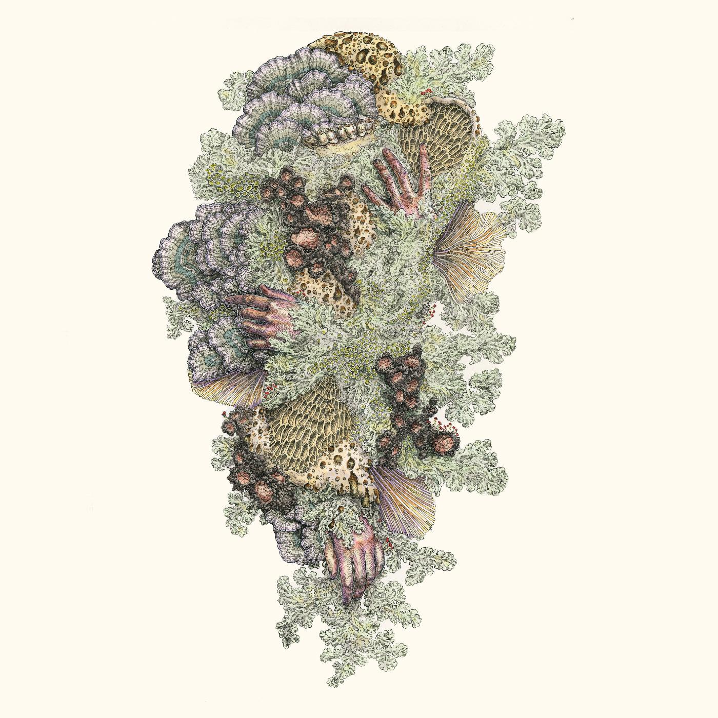 Monuments to Impermanence (CD)