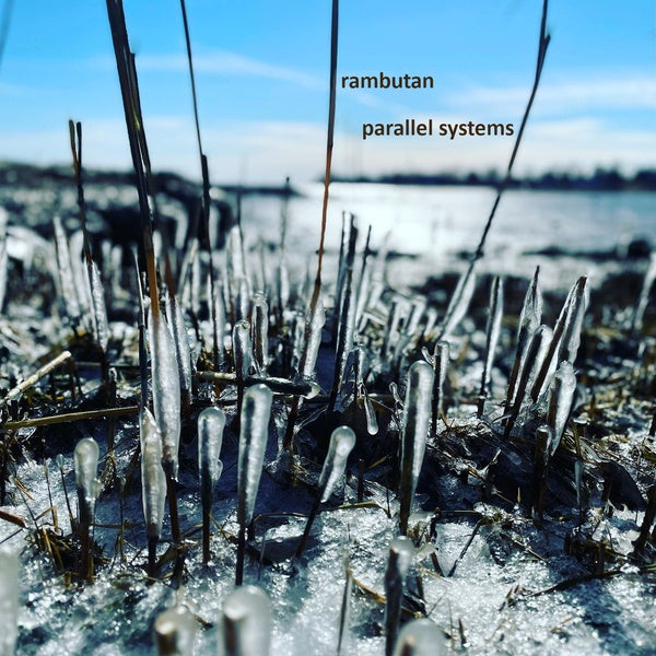 Parallel Systems (CD)
