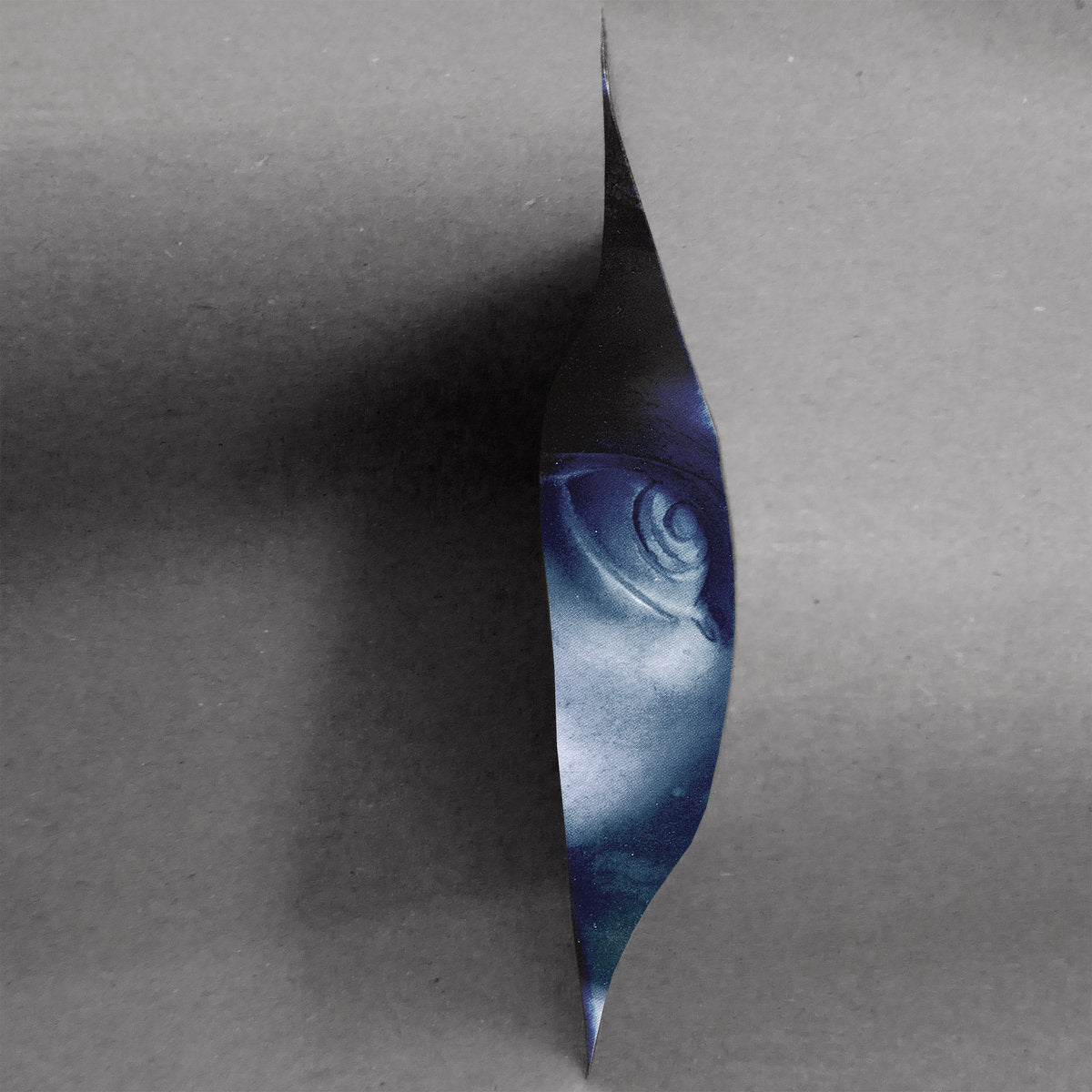 Horology (Vinyl)