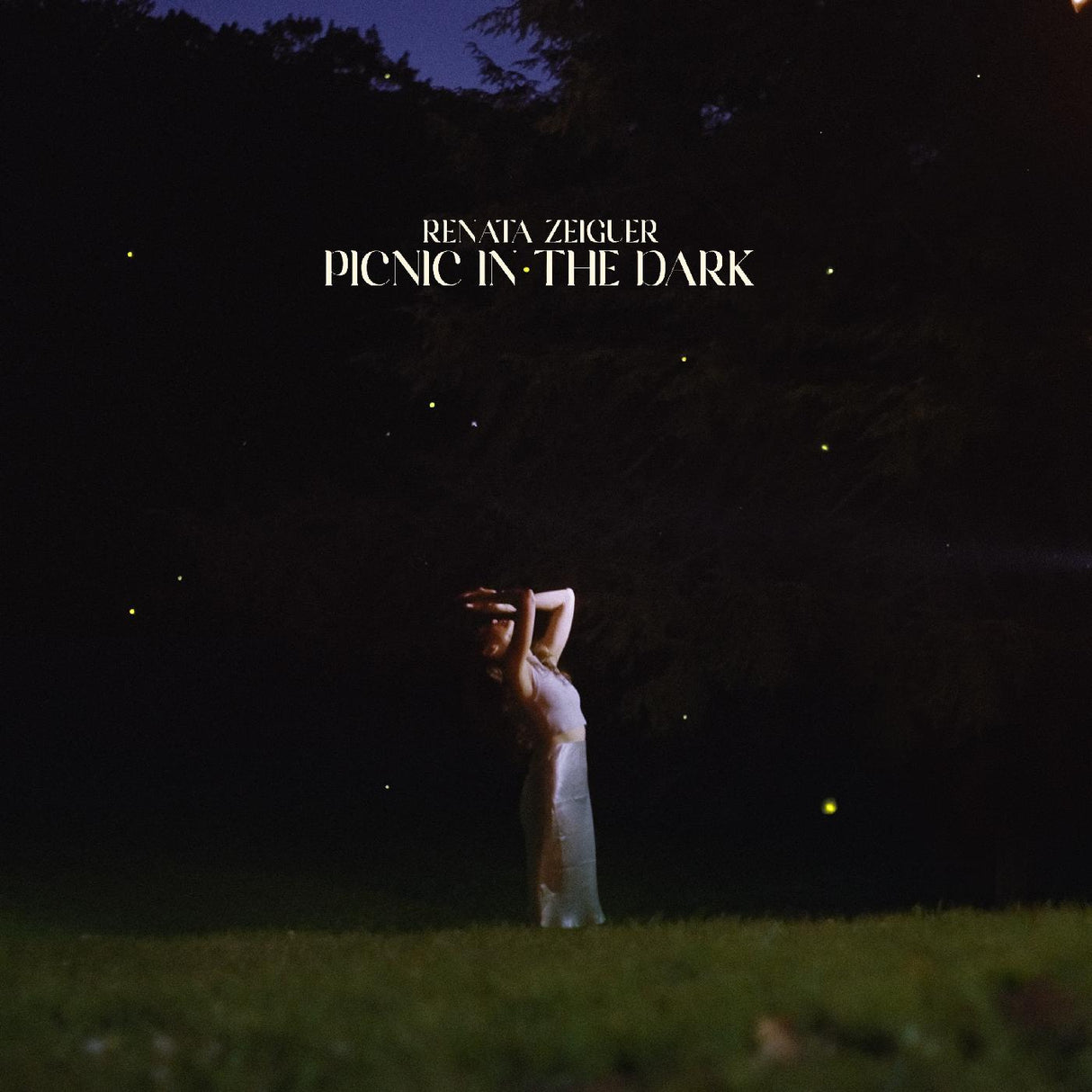 Picnic in the Dark (Vinyl)