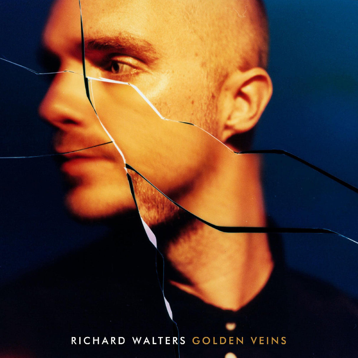 Golden Veins (Vinyl)