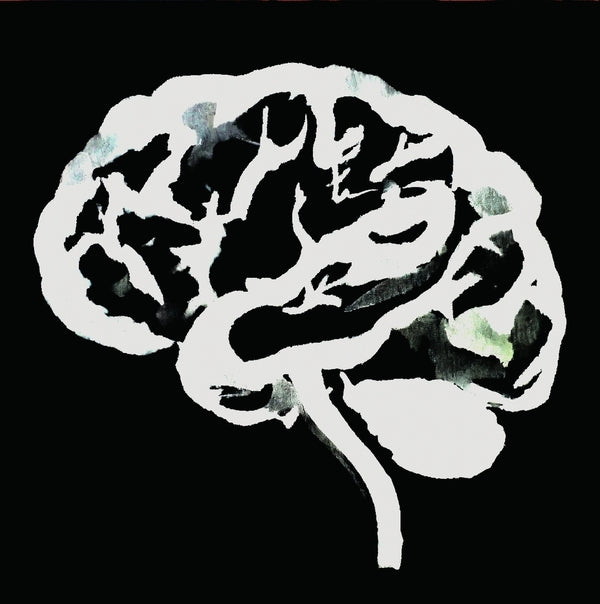 Brain Flakes (The Lost Combo Tapes) (Vinyl) - Apocalypse Vinyl