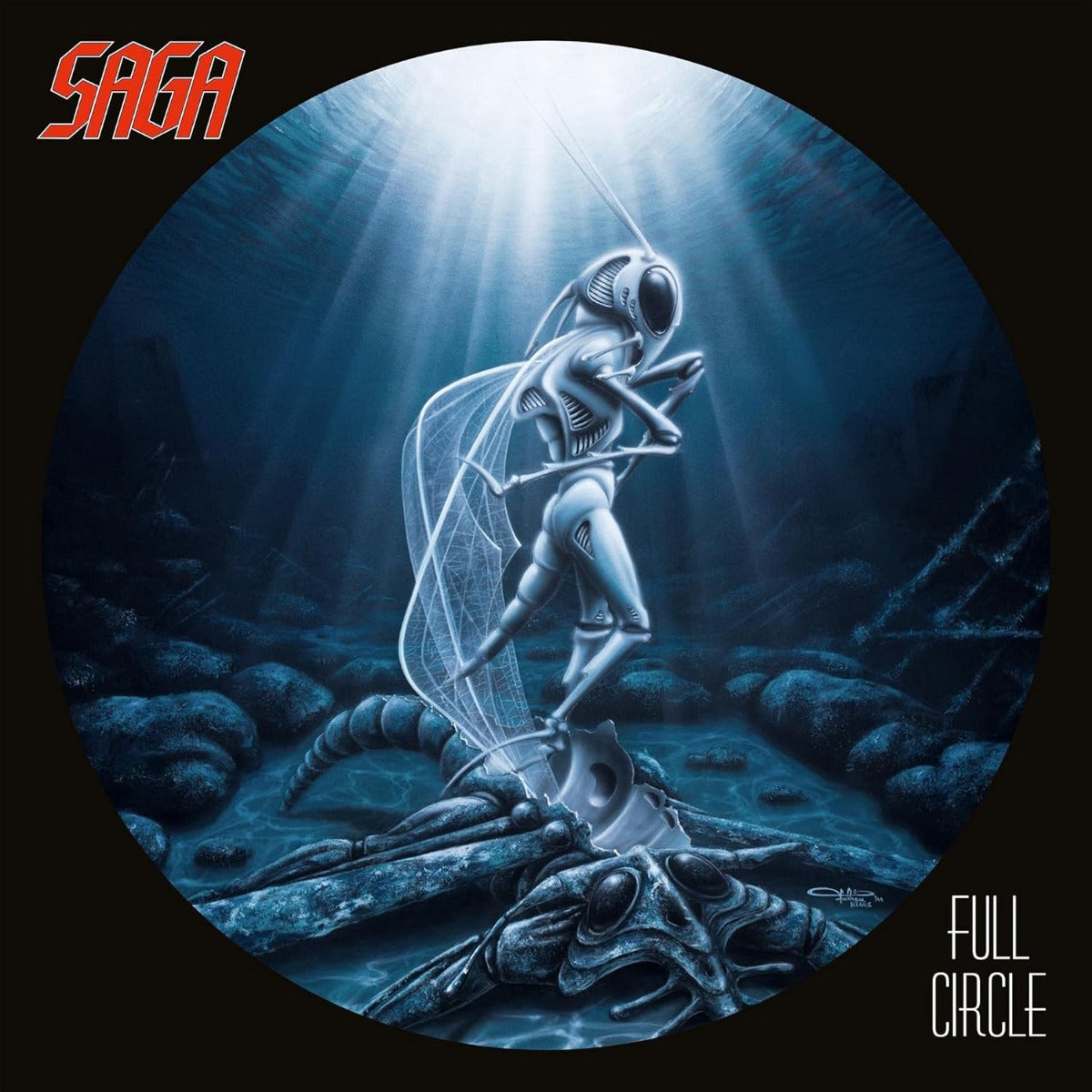 Full Circle (Remastered, 180 Gram Vinyl) (Vinyl)