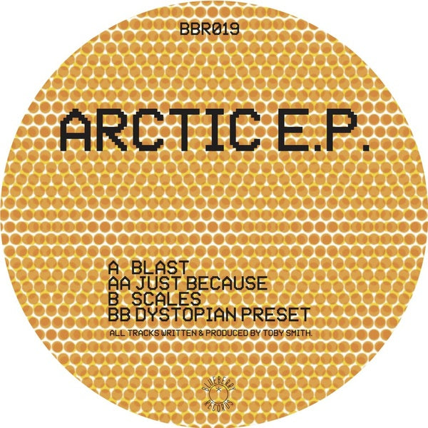 Arctic EP (Vinyl)