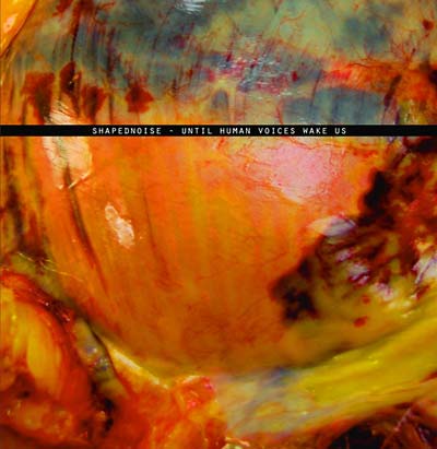Until Human Voices Wake Us (Vinyl) - Apocalypse Vinyl