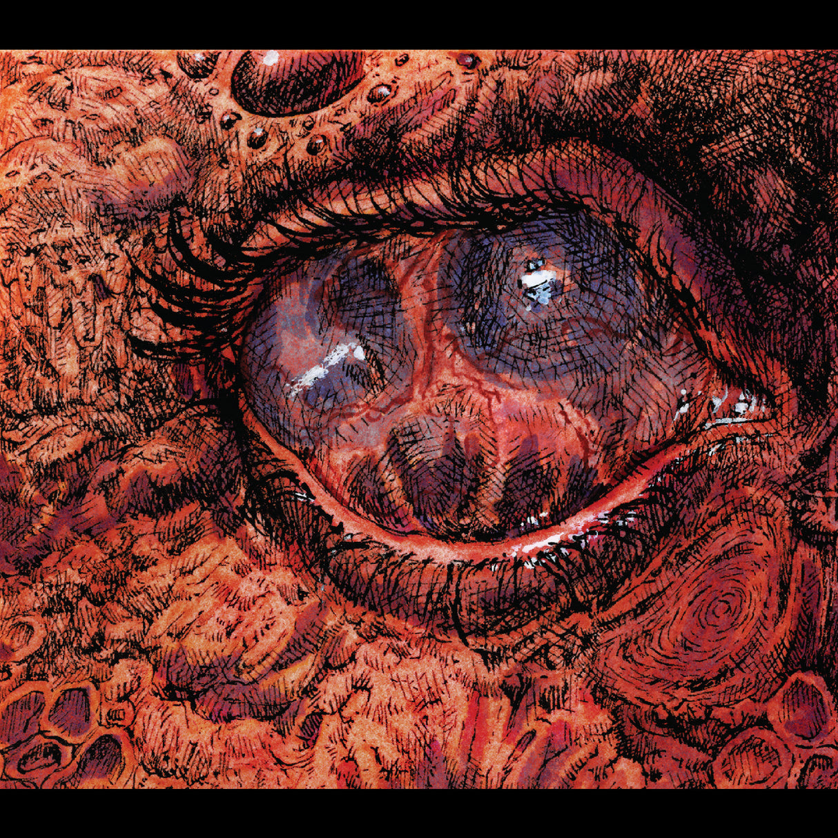 Cruelty Bacchanal (CD)