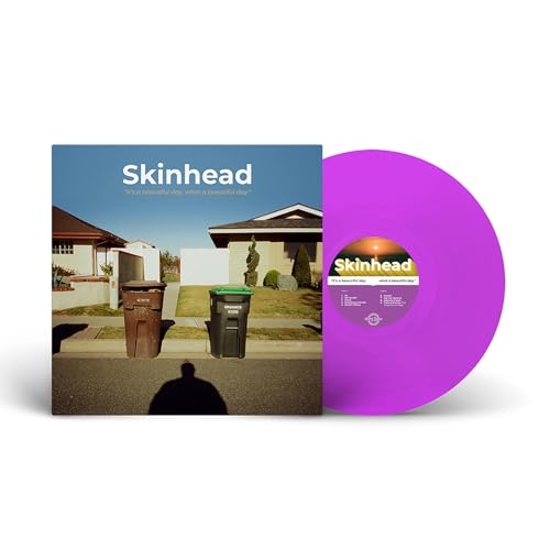 What A Beautiful Day It'S A Beautiful Day (Vinyl)