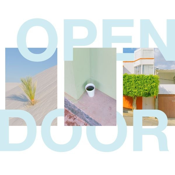 Open Door (Vinyl)