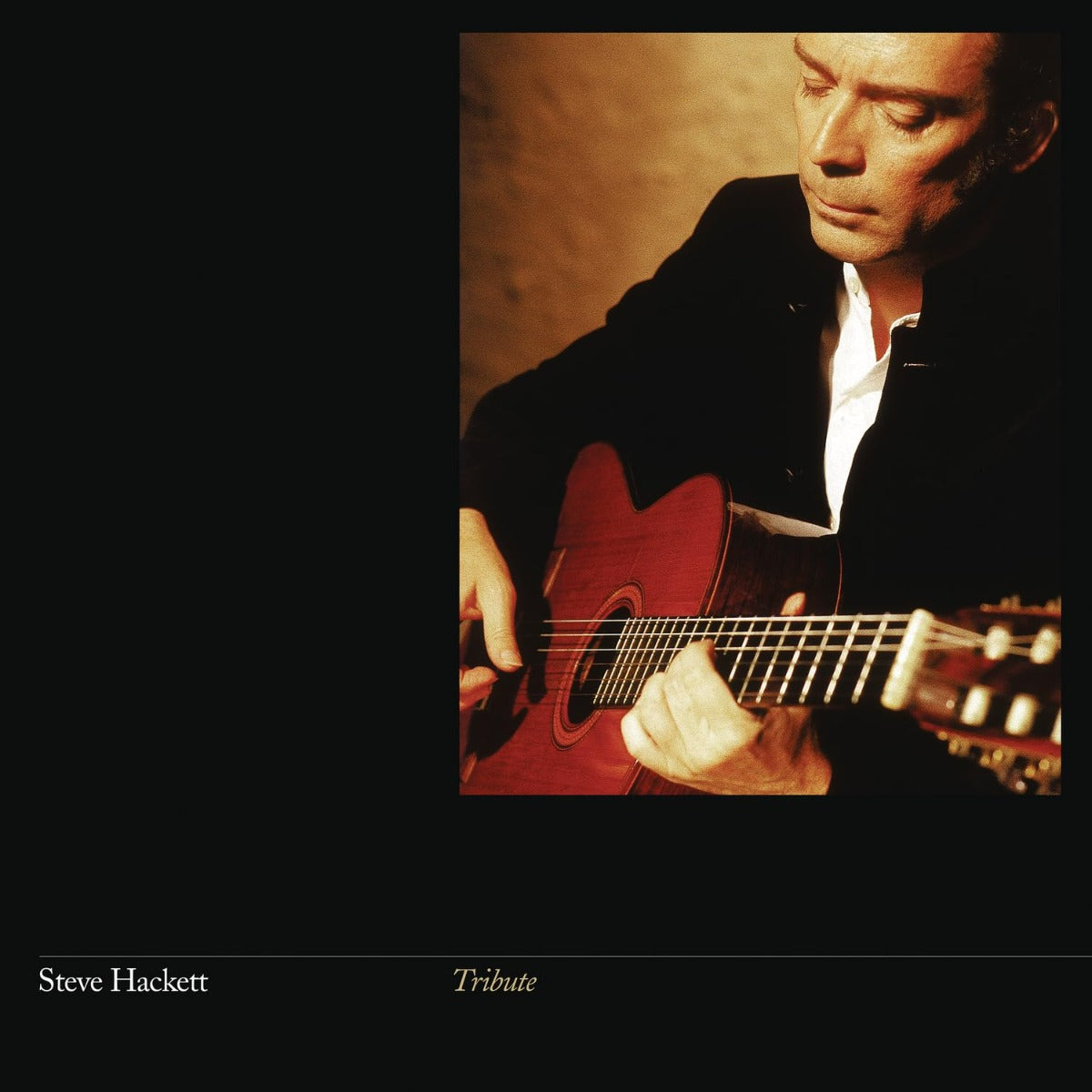 Tribute (Gatefold LP Jacket, Reissue) (Vinyl)
