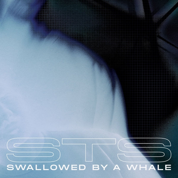 Swallowed By A Whale (Vinyl)