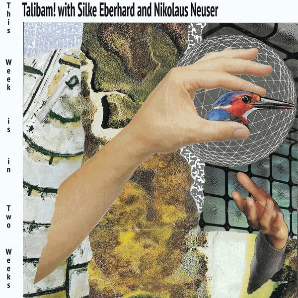 This Week Is In Two Weeks (Vinyl)
