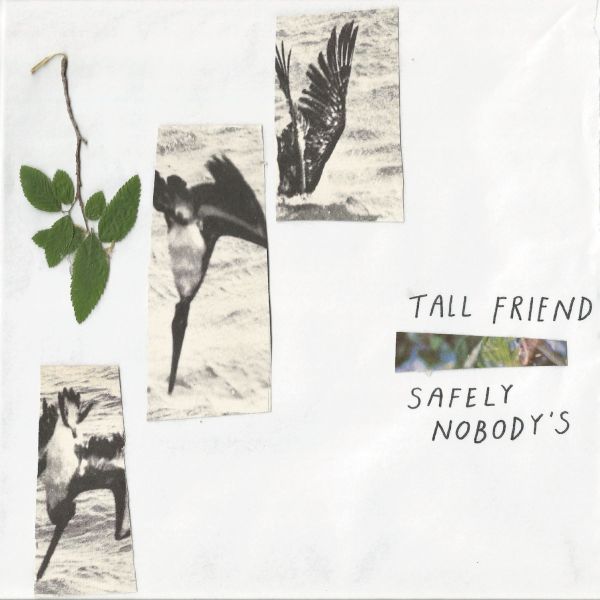 Safely Nobody's (Vinyl) - Apocalypse Vinyl
