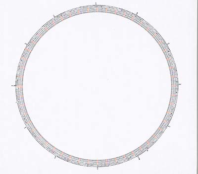 Stupid Rotation (CD)