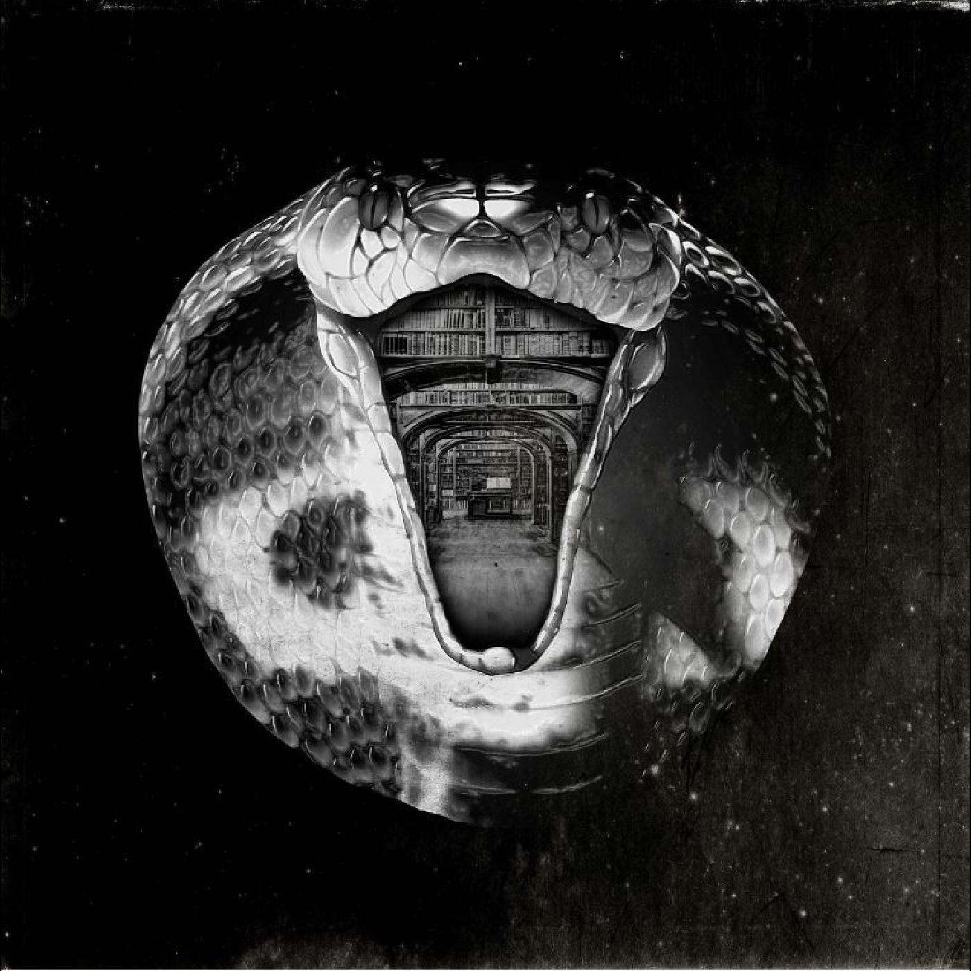 Genius Killer (Vinyl)