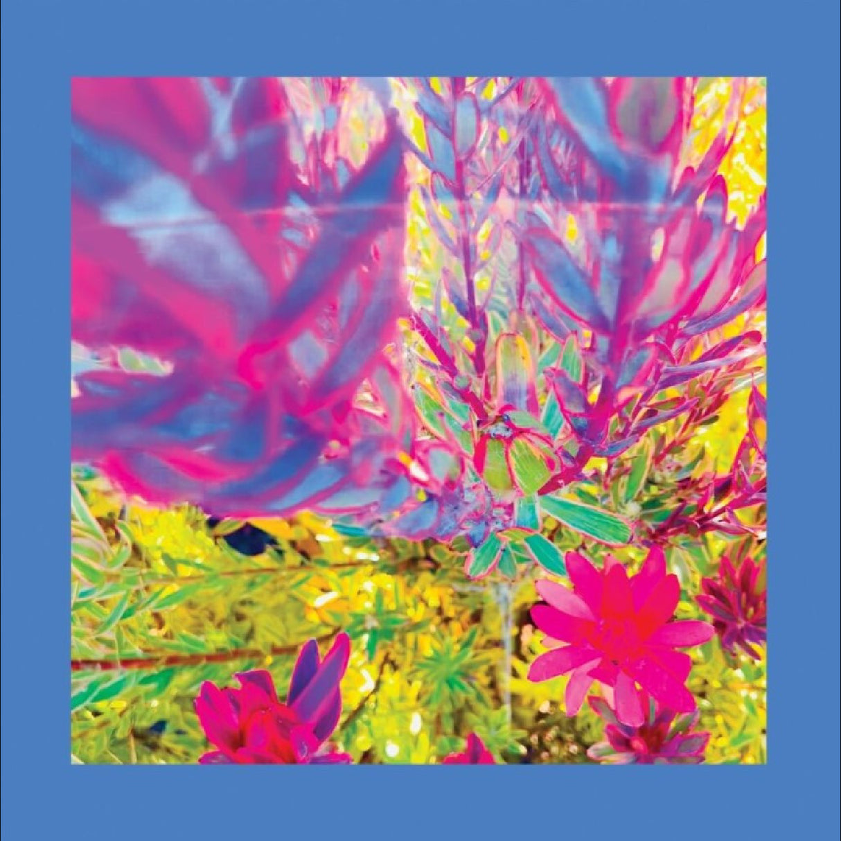 The Past Is A Garden I Never Fed (Sky Blue Vinyl) (Vinyl)