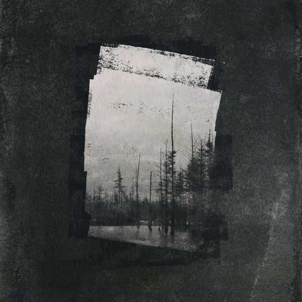 Capture (CD)