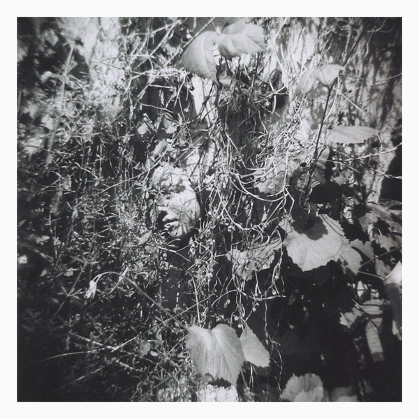 Now Is The Last Best Time (Vinyl)