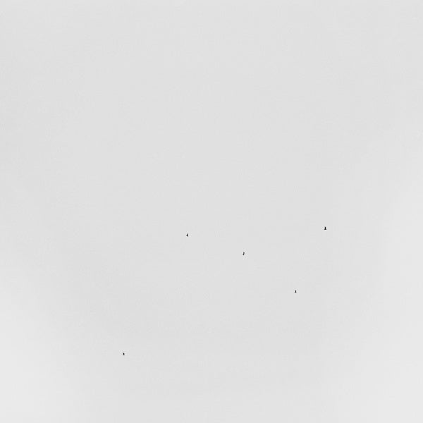Conjectures (Vinyl) - Apocalypse Vinyl