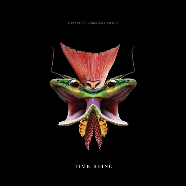 Time Being (Vinyl) - Apocalypse Vinyl