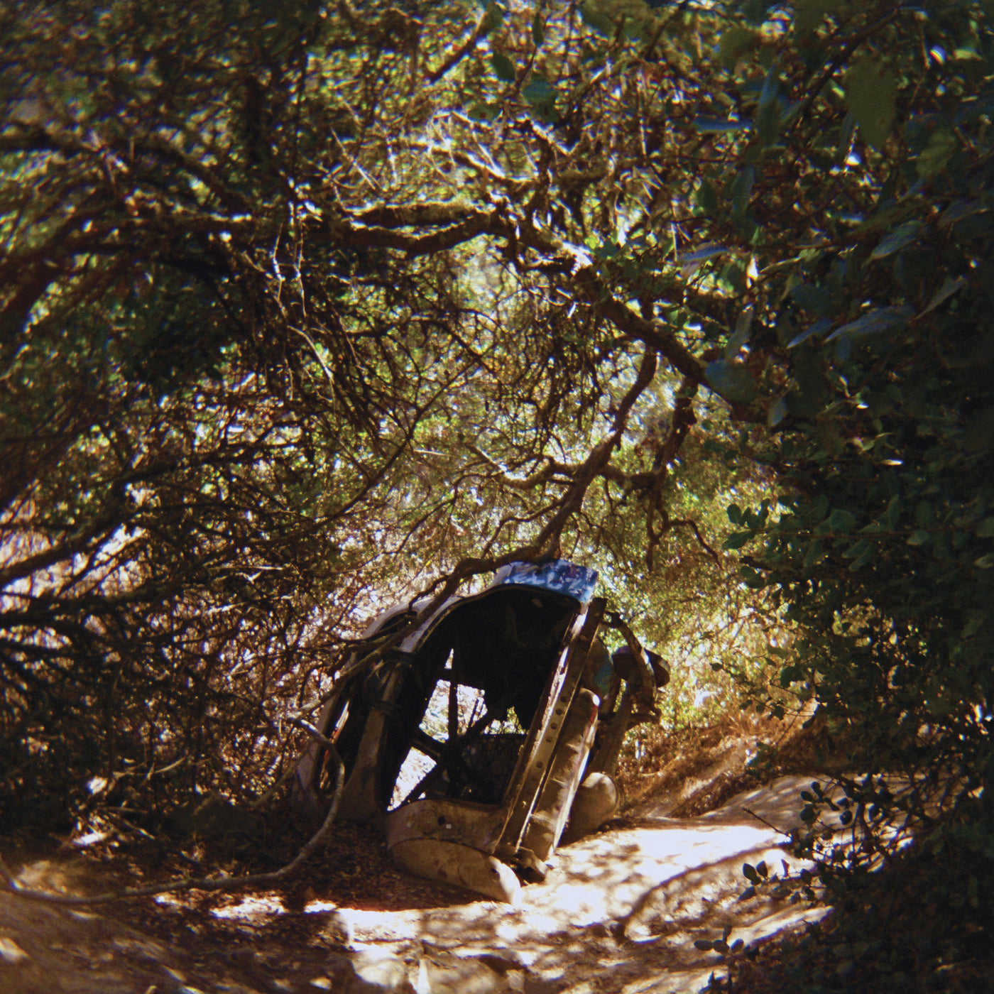 Possession (Cassette)