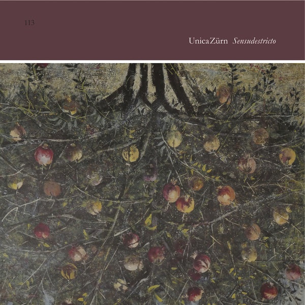 Sensudestricto (Vinyl) - Apocalypse Vinyl