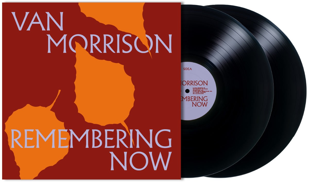 Remembering Now (2 LP) (Vinyl)
