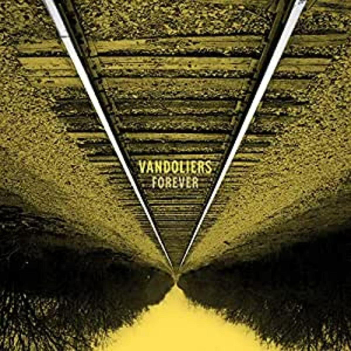 Forever (Vinyl) - Apocalypse Vinyl
