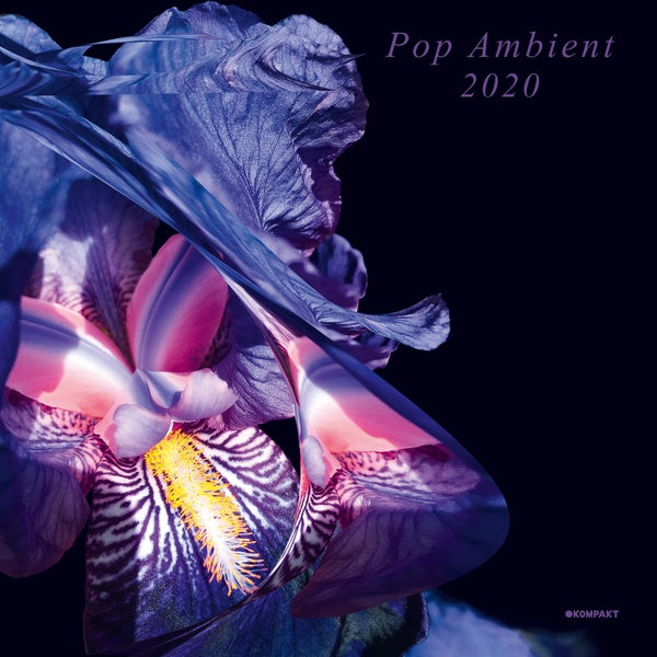 Pop Ambient 2020 (Vinyl)
