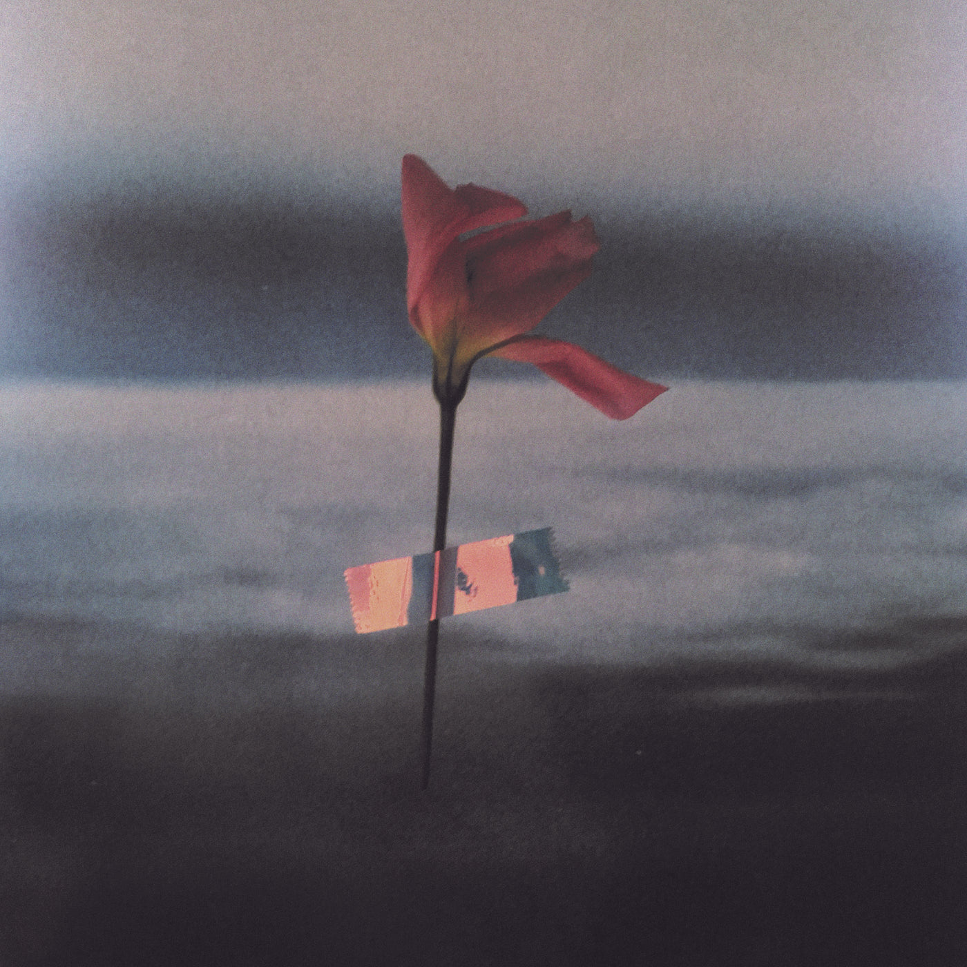 Paralanguage (COLOR VINYL) (Vinyl)