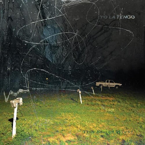 This Stupid World (2 Lp's) (Vinyl) - Apocalypse Vinyl
