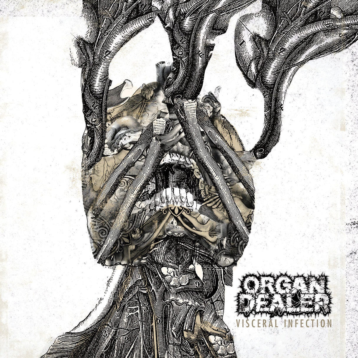 ORGAN DEALER - Visceral Infection LP (White w/ Black Marble) LTD To 77