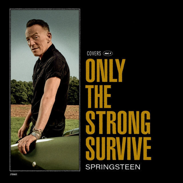 Only The Strong Survive (2LP/140G/D-Side Etching)