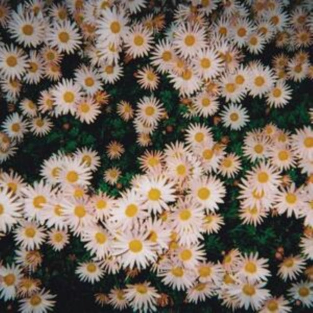 Bad Bad Hats - Bad Bad Hats (Pink LP Vinyl)