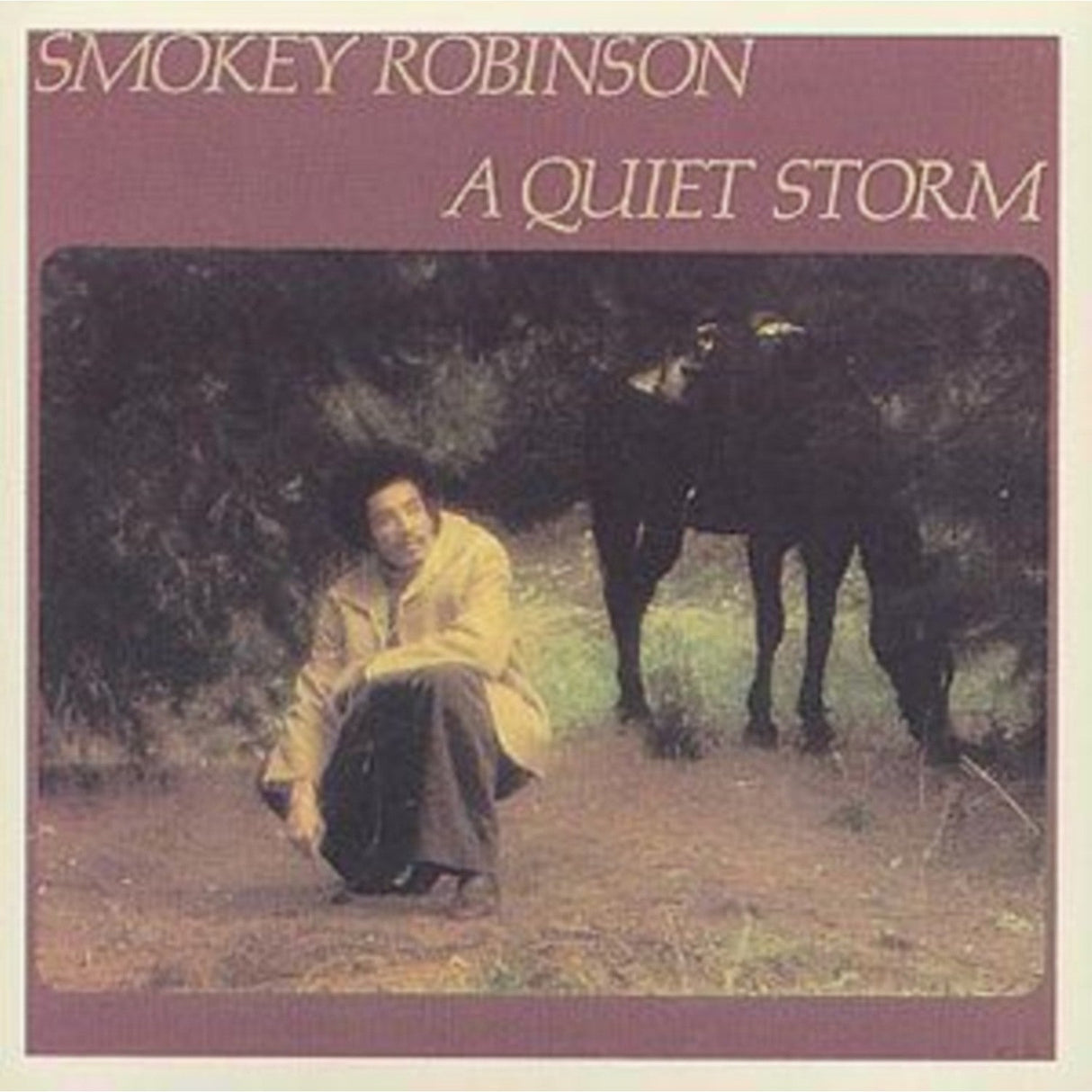 Quiet Storm
