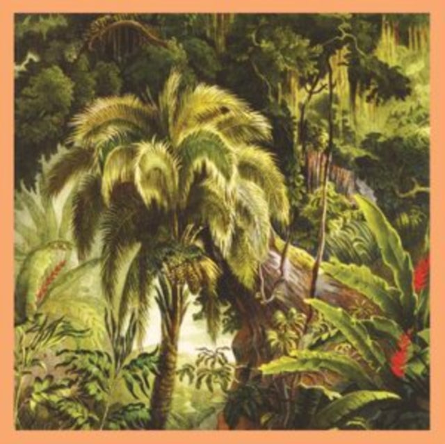 La Foret (Sunset Swirl LP Vinyl)
