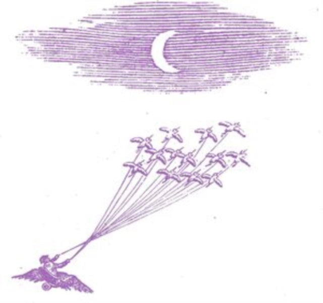 Migration Magic
