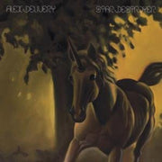 the album cover for Alex Delivery - Star Destroyer