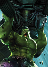 IMMORTAL HULK #17 B HEYJIN IM BATTLE LINES Variant (05/15/2019) MARVEL