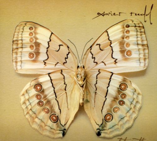 Xavier Rudd - White Moth [CD]