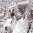 the album cover for Bjork - Vespertine [Import]