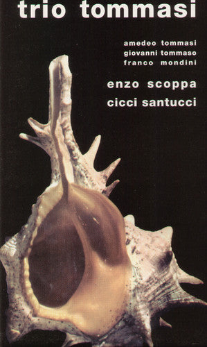 the album cover for Tommasi - Zamboni 22