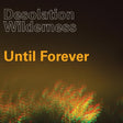 the album cover for Desolation Wilderness - Until Forever