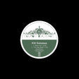the album cover for Solomun - Compost Black Label 36