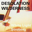 the album cover for Desolation Wilderness - White Light Strobing