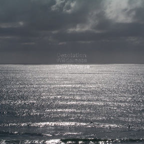 the album cover for Desolation Wilderness - New Universe