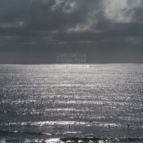 the album cover for Desolation Wilderness - New Universe