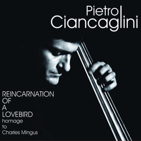 the album cover for Pietro Ciancaglini - Reincarnation of a Lovebird