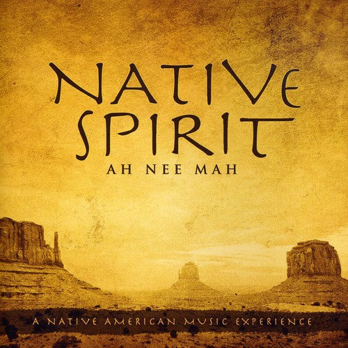 David Arkenstone - Native Spirit [CD]